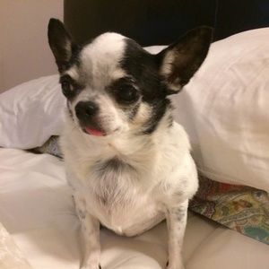 Meet your Posher, Kristi